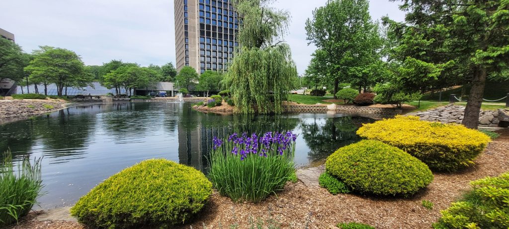 Photo Credit: Andrea B. Swenson Photography